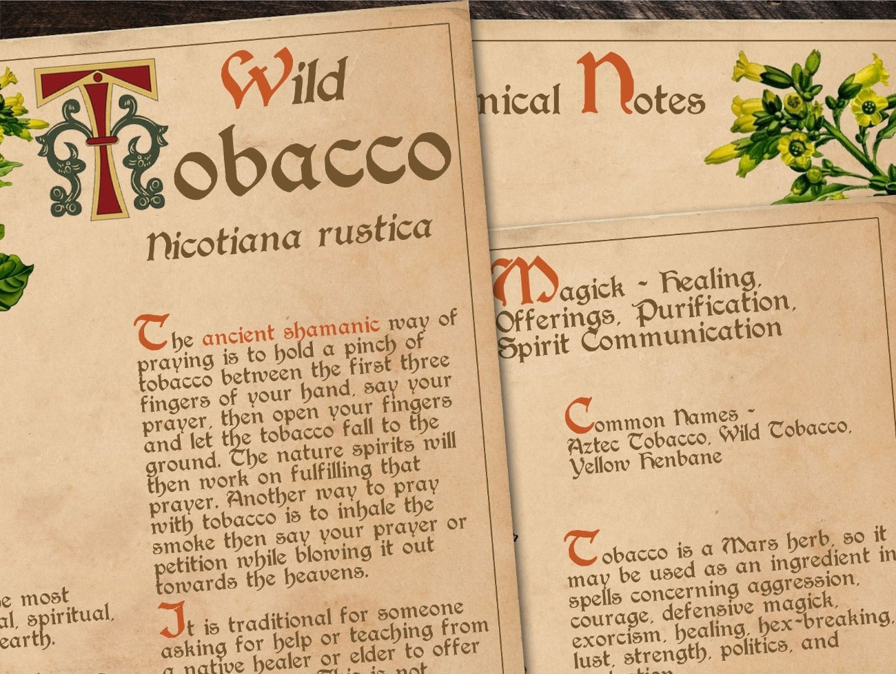 Close-up image of TOBACCO BANEFUL HERB Printable 3 Pages - Morgana Magick Spell