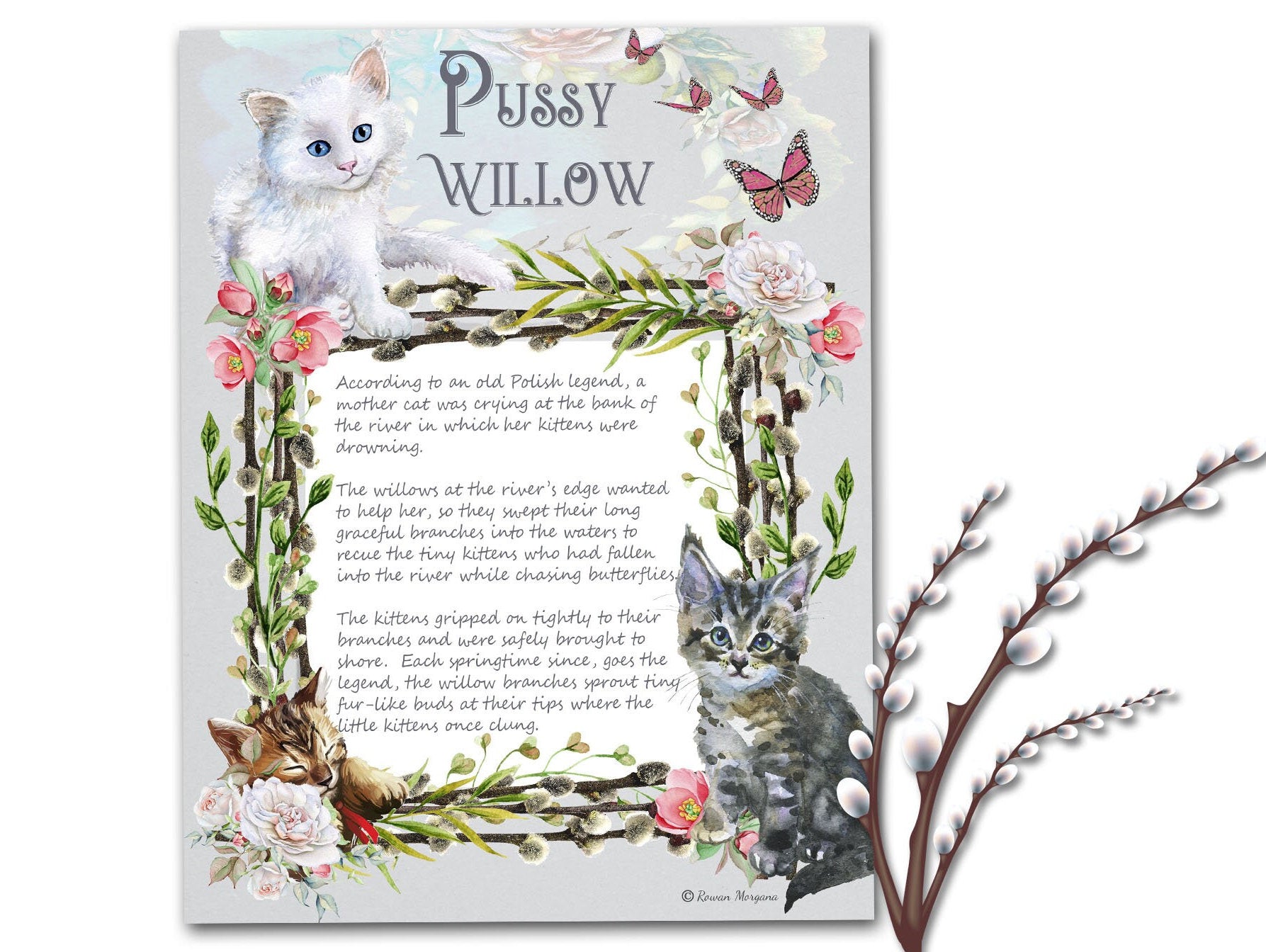 PUSSY WILLOW, Printable Grimoire Page, lovely folktale legend about pussy willow catkins, suitable for all ages, a great childrens gift - Morgana Magick Spell