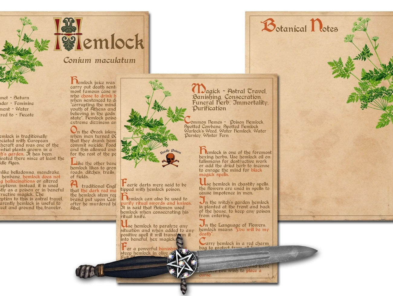 HEMLOCK BANEFUL HERB Printable 3 Pages - Morgana Magick Spell