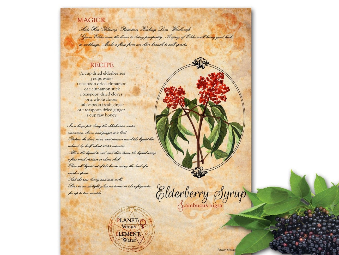 ELDERBERRY SYRUP Recipe, Kitchen Witch Herbal Home Remedy, Natural Health, Elderberry Magick, Elderberry Tonic, Immune Boosting Potion - Morgana Magick Spell