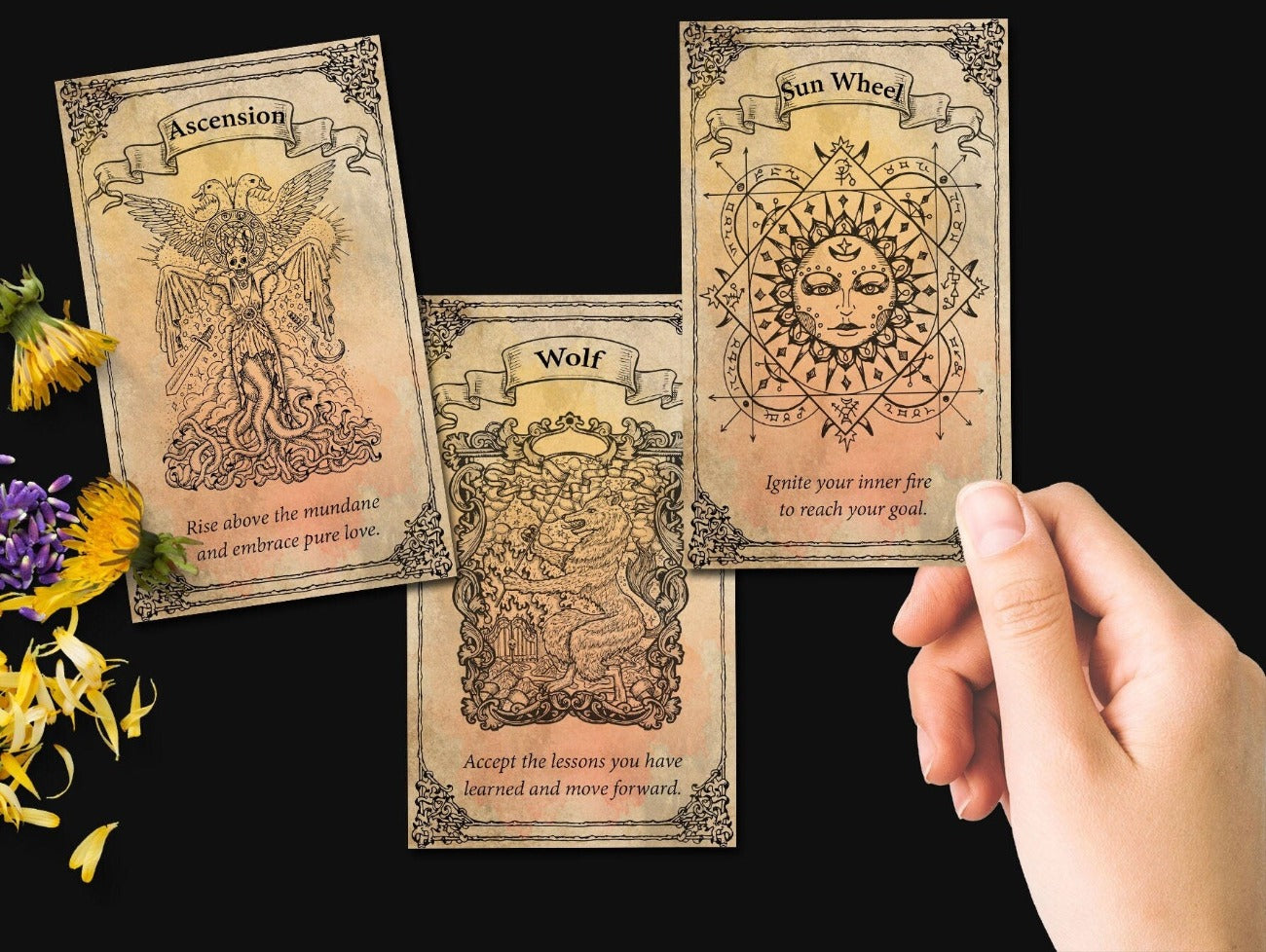 20 Mabon Sabbat Oracle Cards with Celtic borders, assorted Mabon related pictures with inspirational text.