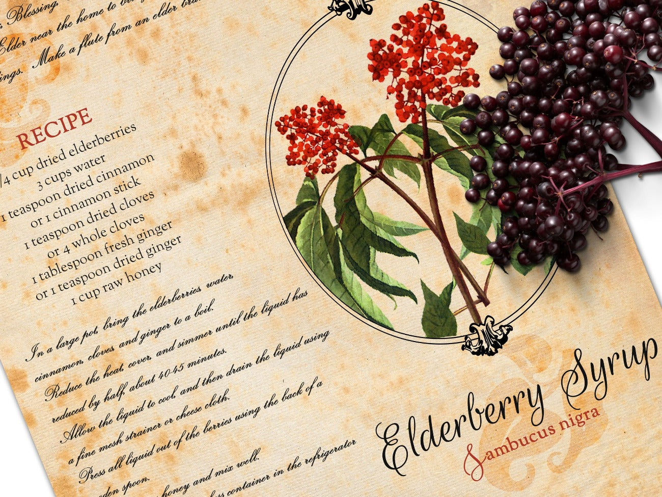 Close-up view of ELDERBERRY SYRUP Recipe Printable Page - Morgana Magick Spell