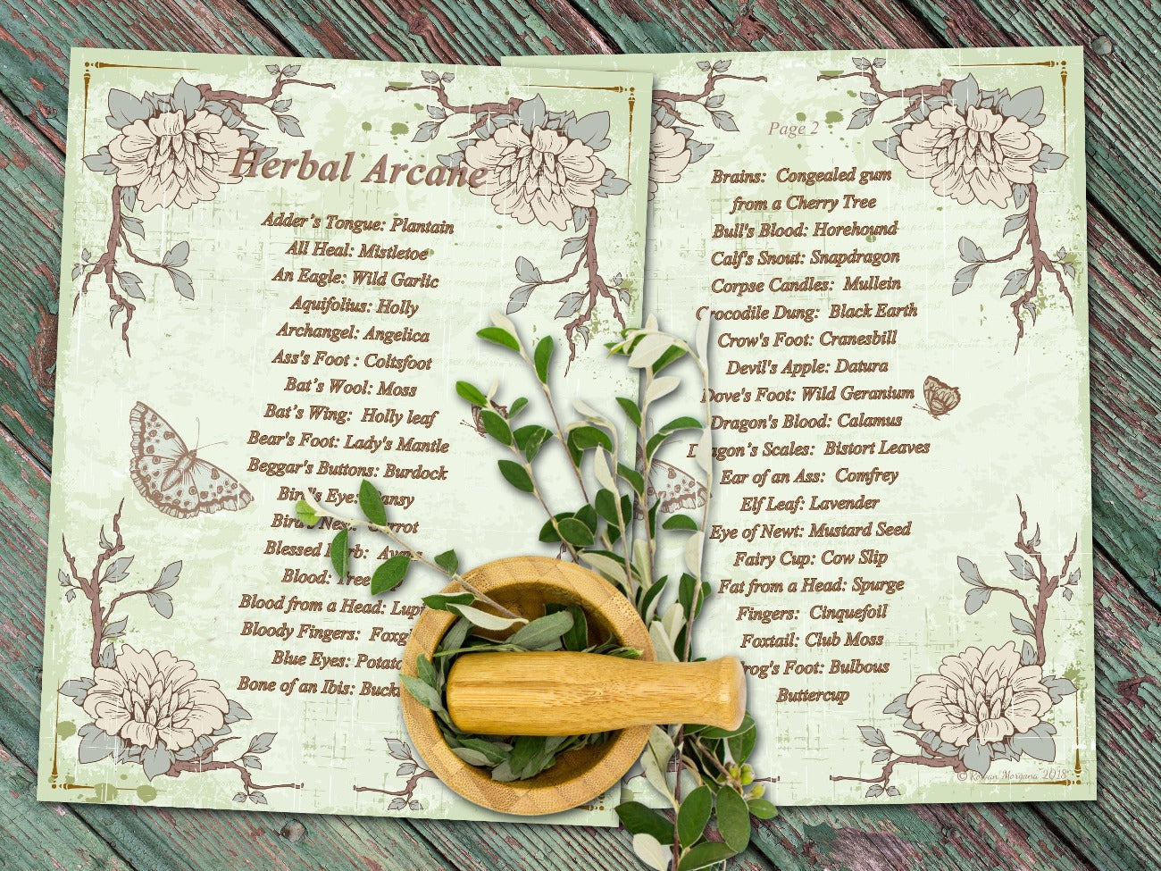 HERBAL ARCANE, Old Witchcraft Names for Common Herbs, Secret Spell Ingredients, Eye of Newt & Wing of Bat, Witch Apothecary Plants, 4 Pages - Morgana Magick Spell