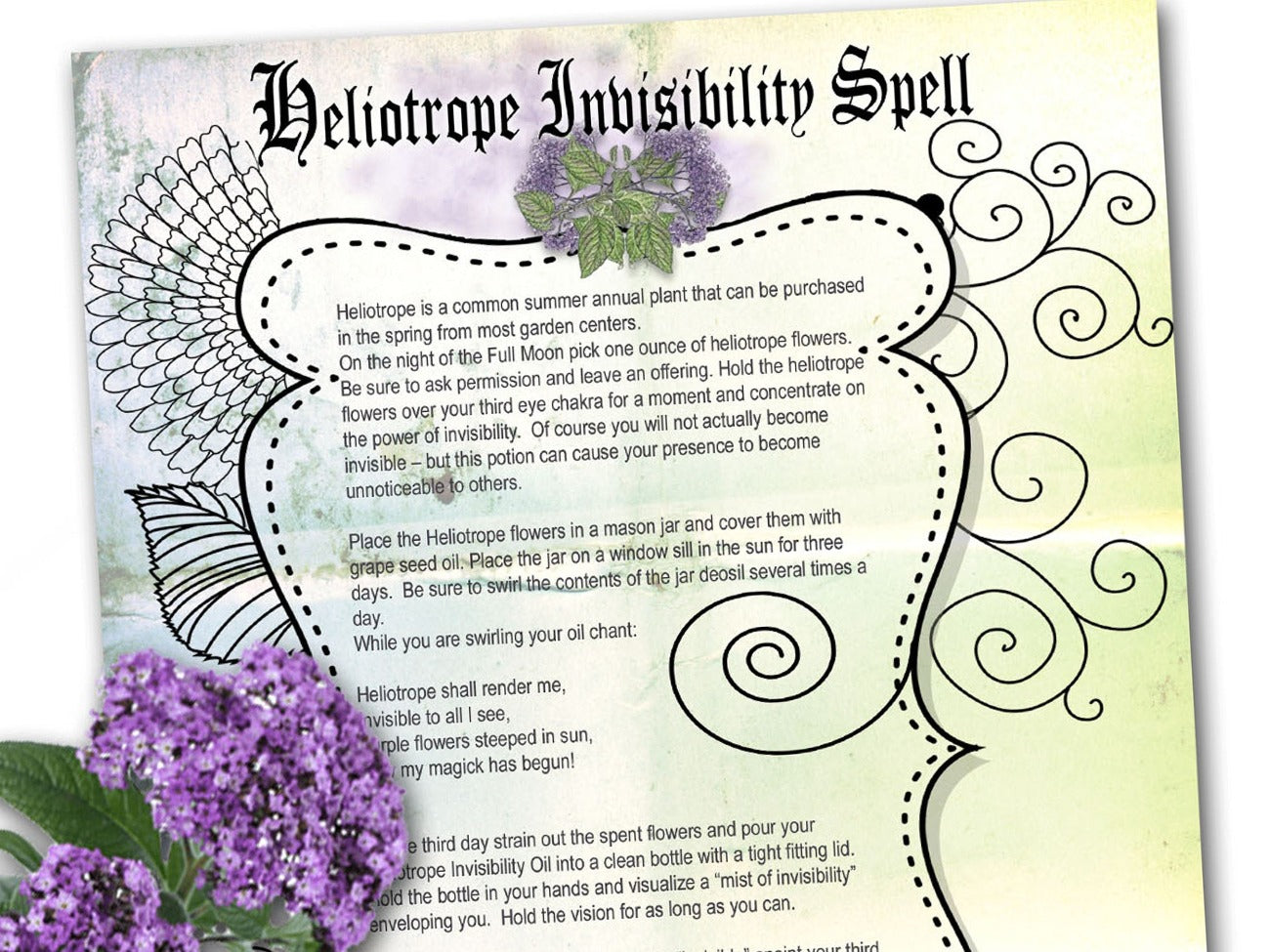 Close-up view of Heliotrope Invisibility Spell, a printable herbal grimoire page that comes with free bottle labels in various sizes - Morgana Magick Spell