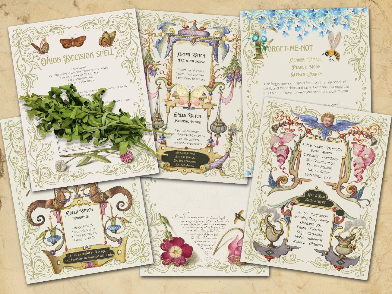 Six Green Witch Garden Pages include Onion Decision Spell, Forget Me Not, Fancy floral blank page, Herb Correspondences, Green Witch Oil Recipes, and Green Witch Incense Recipes.