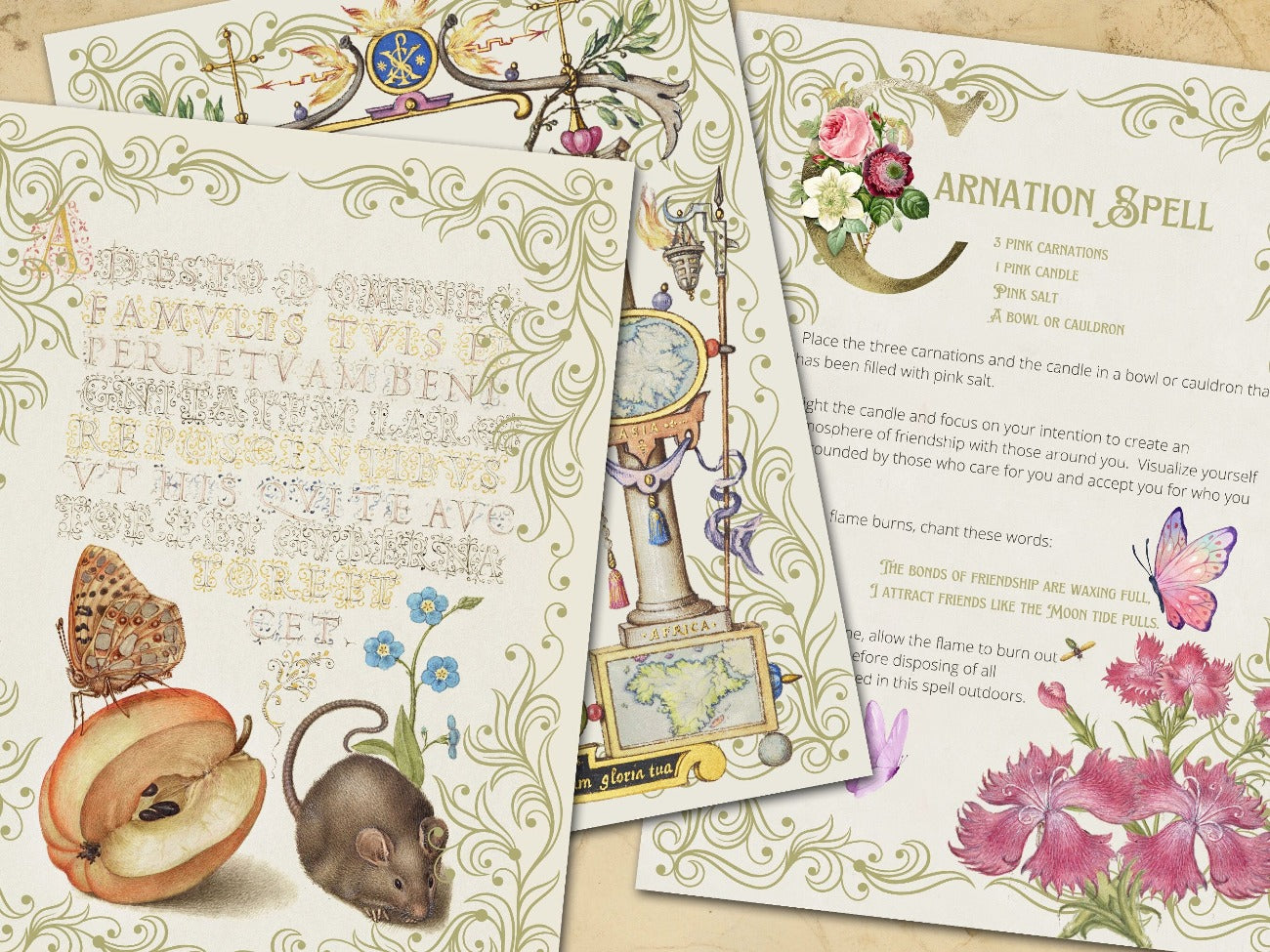 Three pages include fancy script mouse and apple page, blank medieval floral page and Carnation Spell