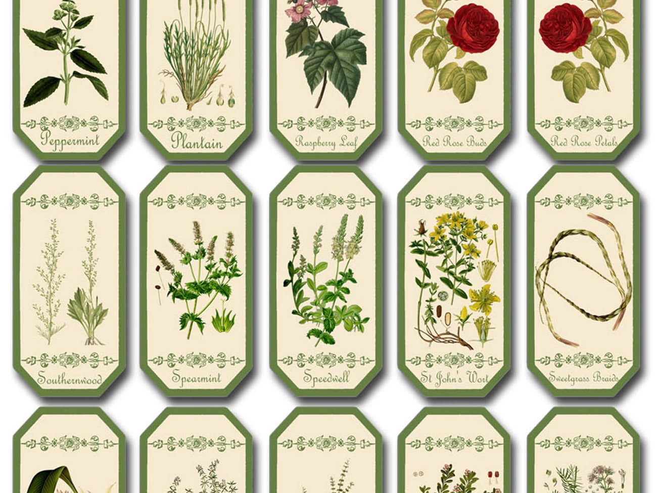 100 HERBAL APOTHECARY LABELS Printable