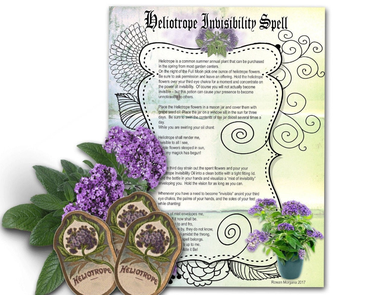 Heliotrope Invisibility Spell, a printable herbal grimoire page that comes with free bottle labels in various sizes - Morgana Magick Spell