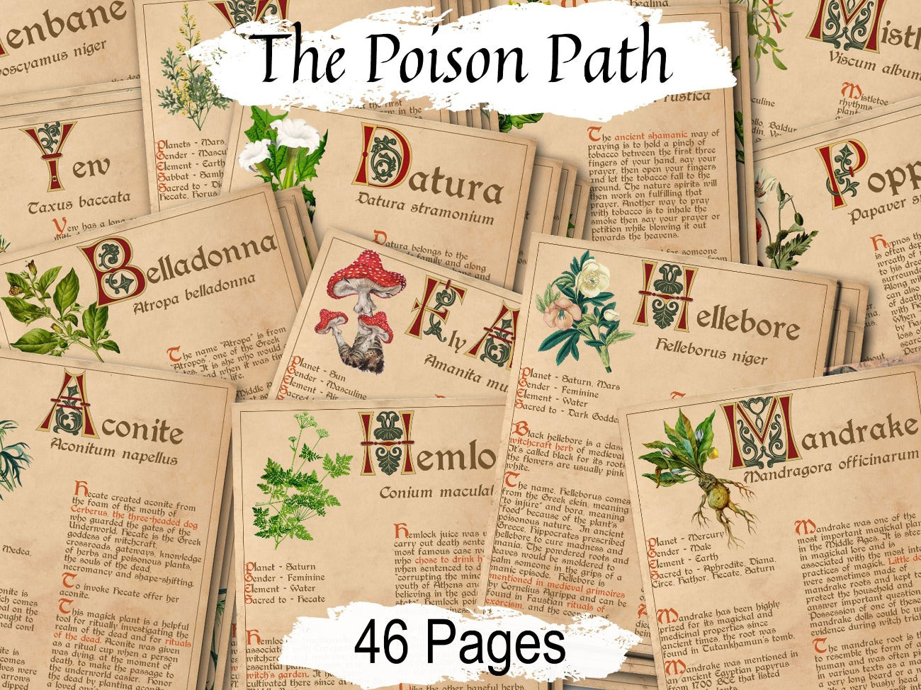BANEFUL HERBS Bundle, 13 Poison Botanicals, 46 Witchcraft Pages of Ritual Poisonous Plants, Wicca Witch Herbal Grimoire of Baneful Plants - Morgana Magick Spell