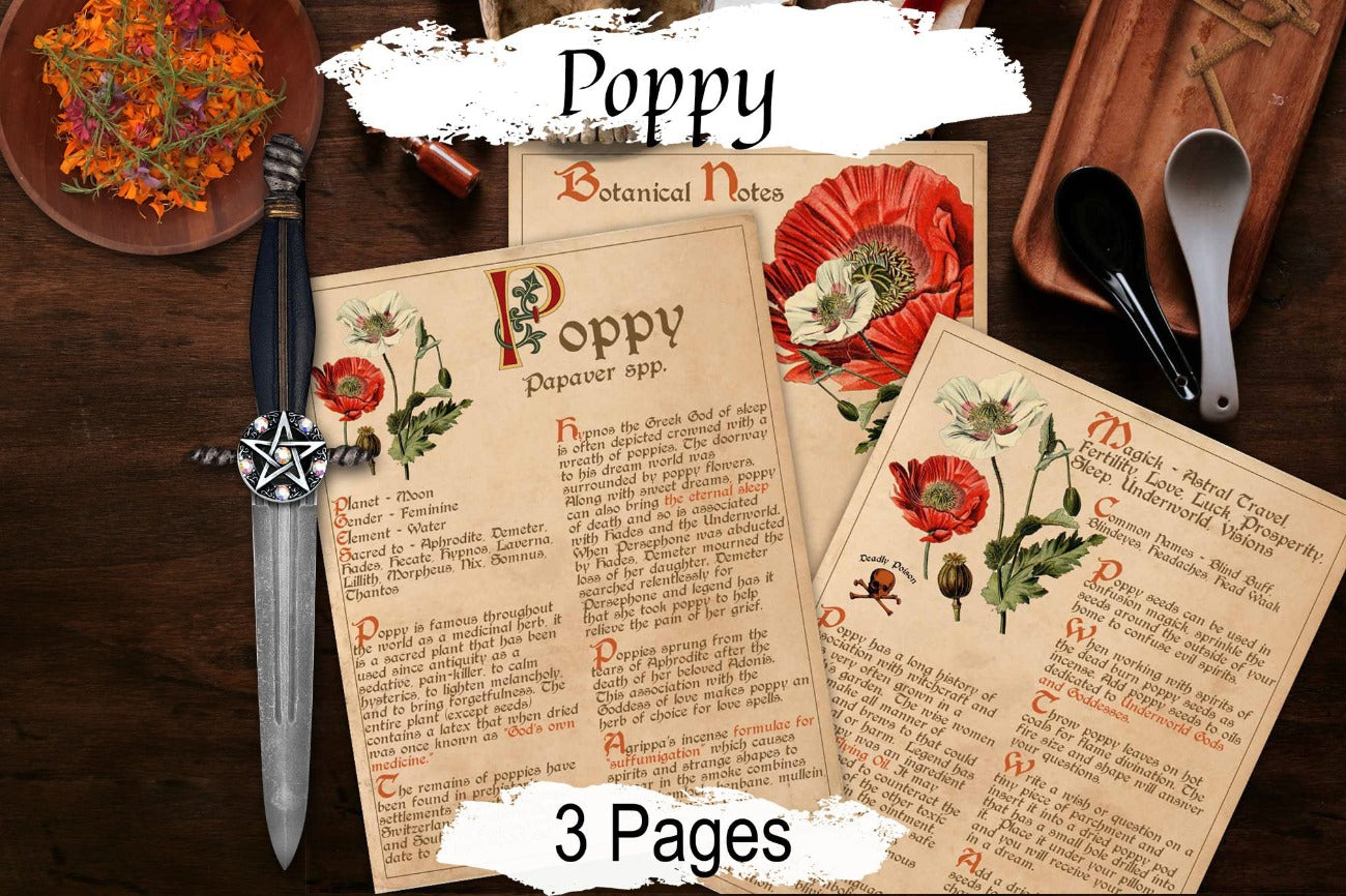 POPPY BANEFUL HERB 3 pages, Grimoire Printable, Witchcraft Poisonous Plants & Herbs, Wicca Pagan Green Witch, Herbal Apothecary Magic - Morgana Magick Spell