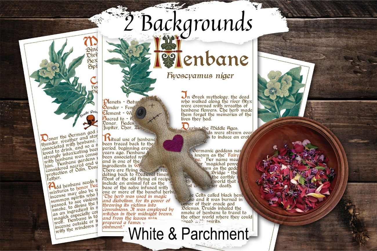HENBANE BANEFUL HERB 3 pages, Grimoire Printable, Witchcraft Poisonous Plants & Herbs, Wicca Pagan Green Witch, Herbal Apothecary Magic - Morgana Magick Spell