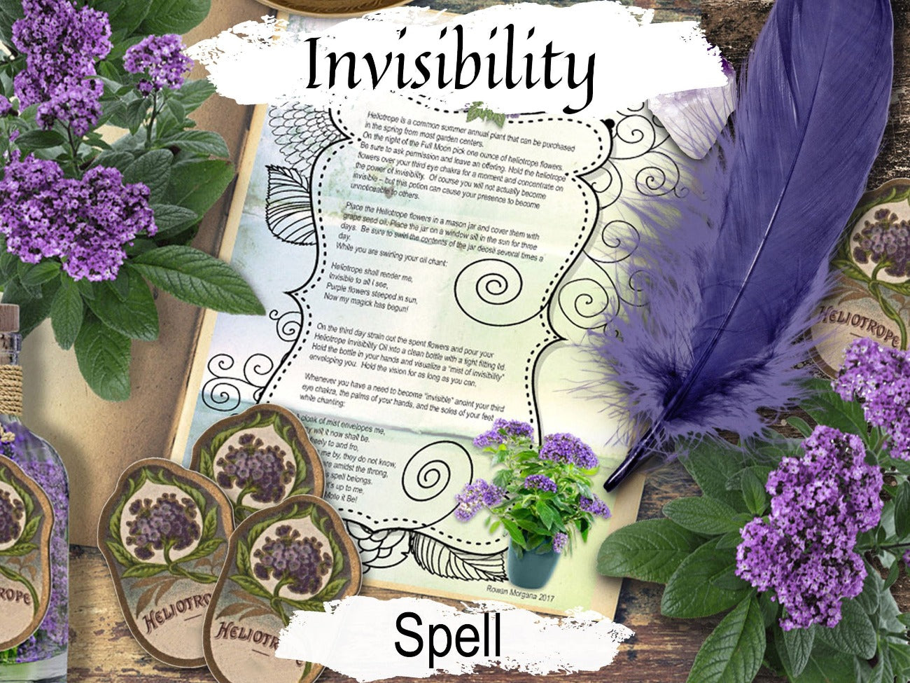HELIOTROPE INVISIBILITY SPELL, Witch Magic Herb, grimoire page, free bottle label sheet, Witchcraft flower charm, Floral Protection Sachet - Morgana Magick Spell