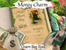 MONEY CHARM BAG, Create Wealth Spell Recipe, Bring Prosperity, Wicca Witchcraft Abundance Attract Money, Green Witch Apothecary Printable - Morgana Magick Spell