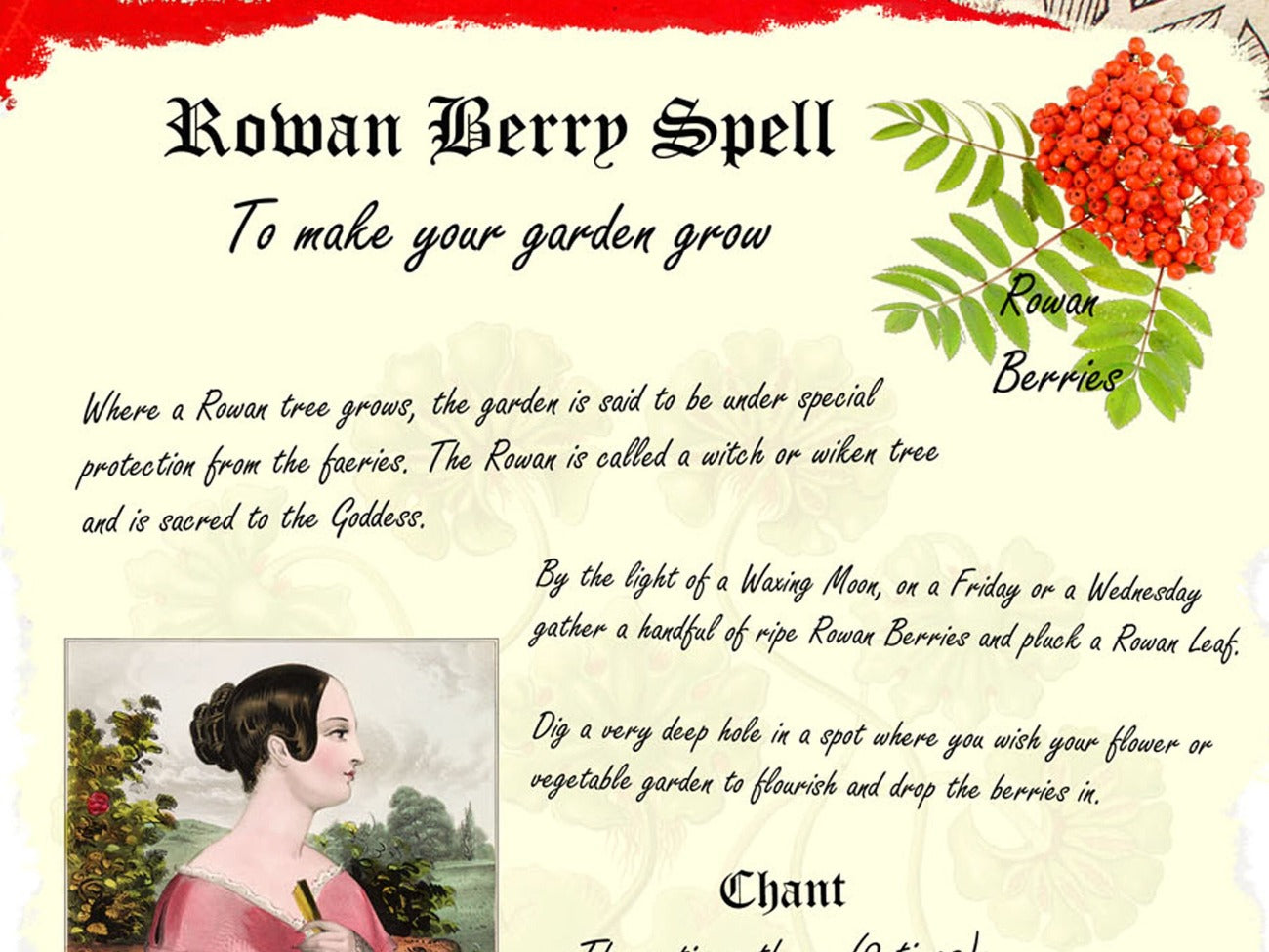 ROWAN BERRY SPELL, Make your Garden Grow, Wicca Garden Magic Blessing, Celtic Herb Spell, Garden Charm, Celtic Herb Rowan Flower Spell - Morgana Magick Spell