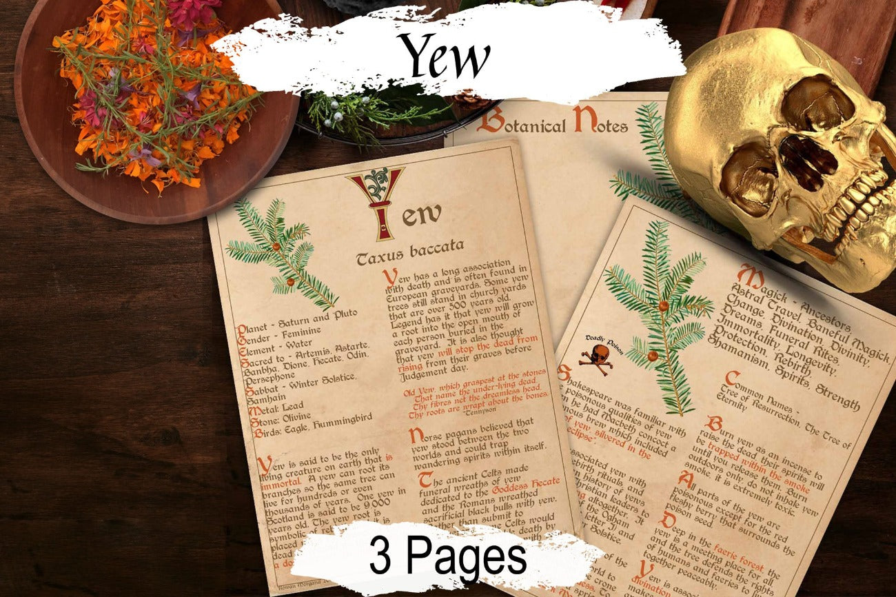 YEW BANEFUL HERB 3 Pages, Grimoire Printable, Witchcraft Poisonous Plants & Herbs, Wicca Pagan Green Witch, Herbal Apothecary Magic Folklore - Morgana Magick Spell