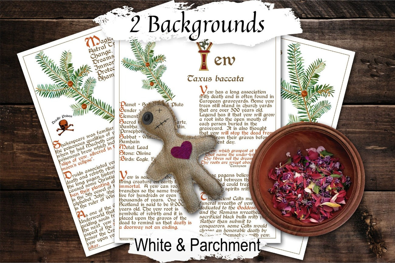 YEW BANEFUL HERB 3 Pages, Grimoire Printable, Witchcraft Poisonous Plants & Herbs, Wicca Pagan Green Witch, Herbal Apothecary Magic Folklore - Morgana Magick Spell