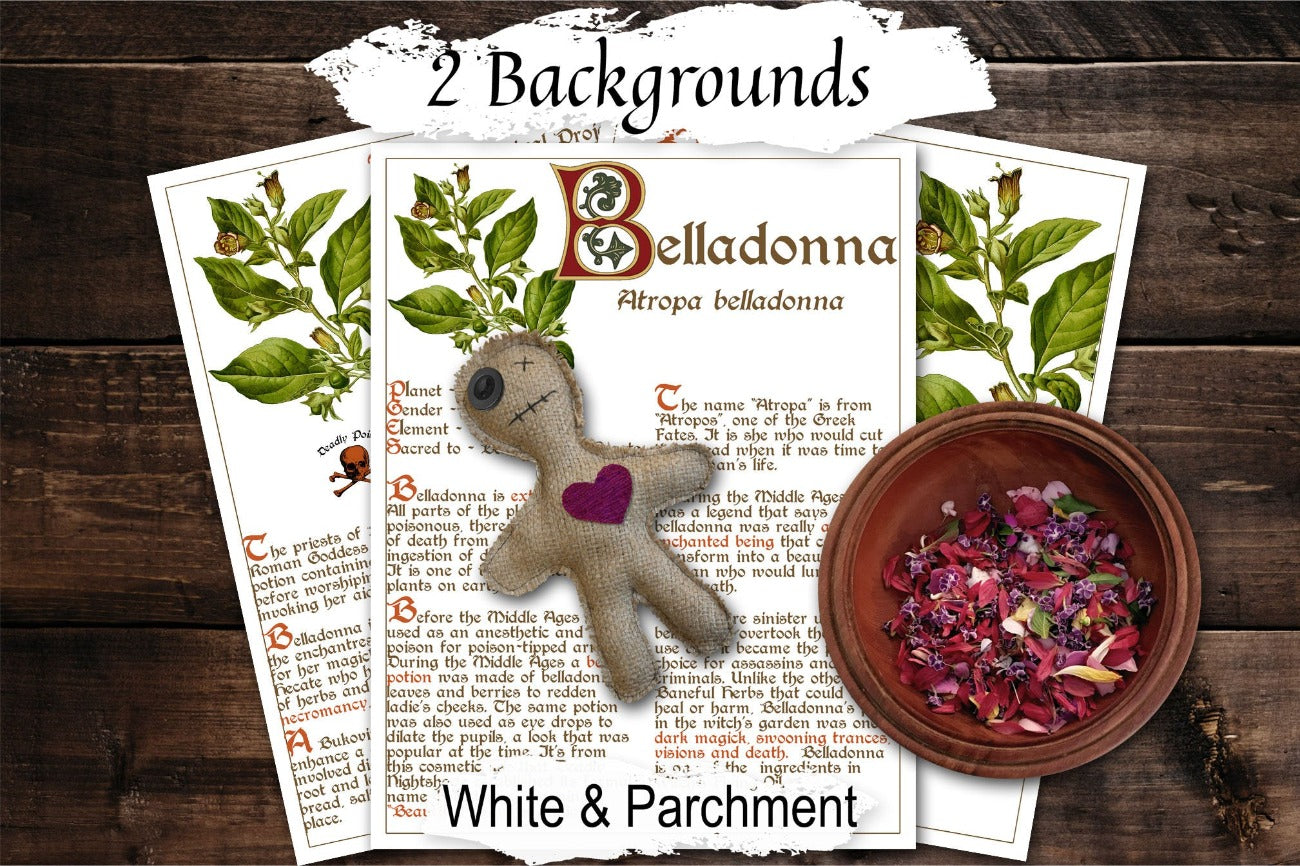 BELLADONNA BANEFUL HERB 3 pages, Grimoire Printable, Witchcraft Poisonous Plants & Herbs, Wicca Pagan Green Witch, Herbal Apothecary Magic - Morgana Magick Spell