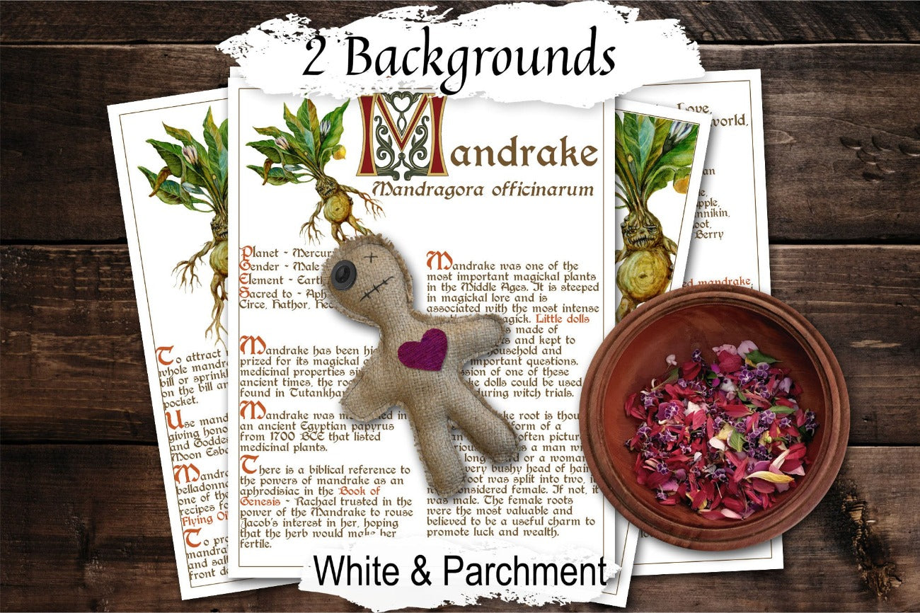 MANDRAKE BANEFUL HERB 5 Pages, Grimoire Printable, Witchcraft Poisonous Plants & Herbs, Wicca Pagan Green Witch, Herbal Apothecary Magic - Morgana Magick