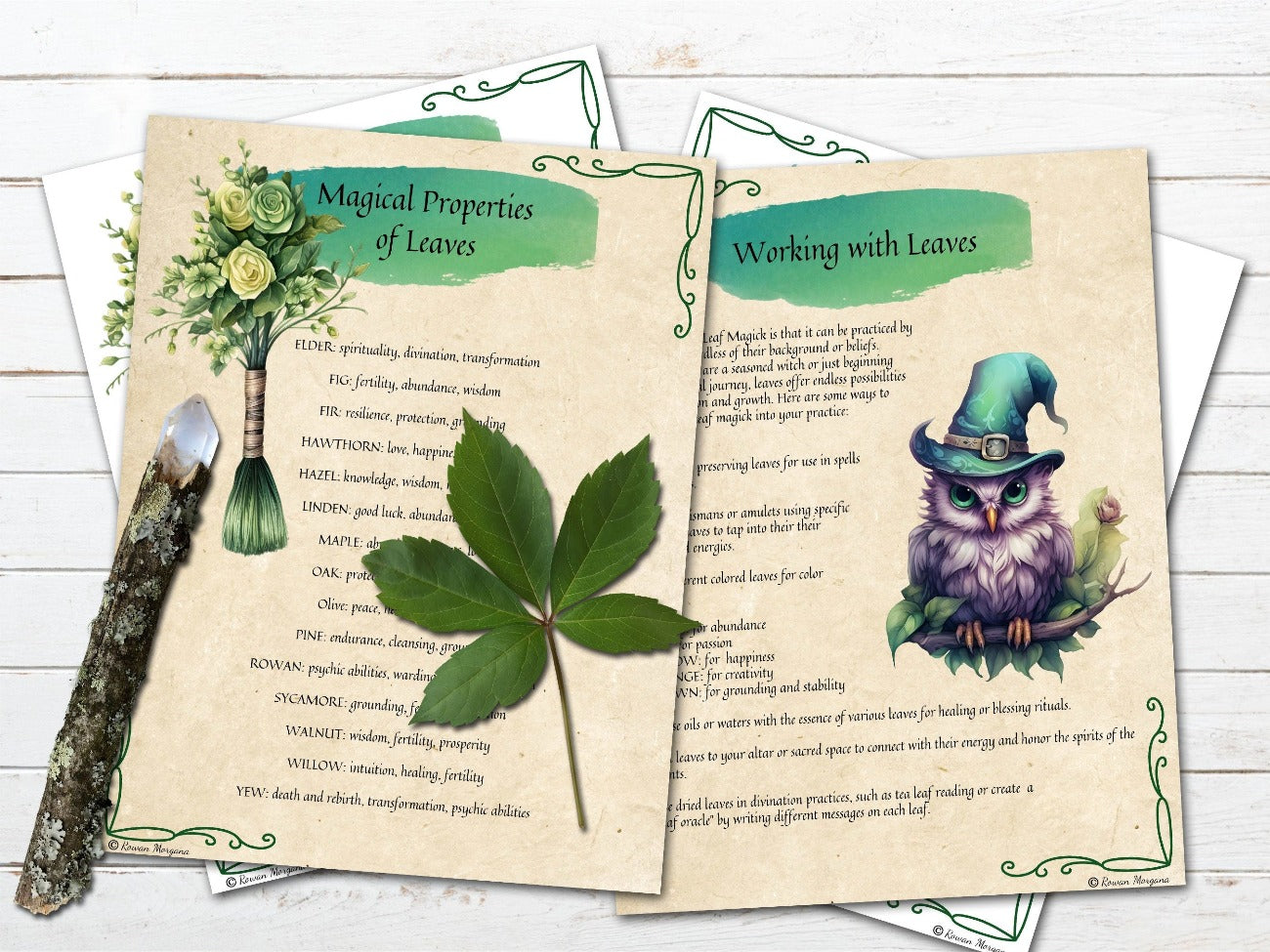 LEAF MAGICK GUIDE, Green Witch Nature Spells, Herbal Spellcasting, Leaf Divination, Earth Energy, Garden Ritual, Banish Negativity, 11 Pages - Morgana Magick Spell