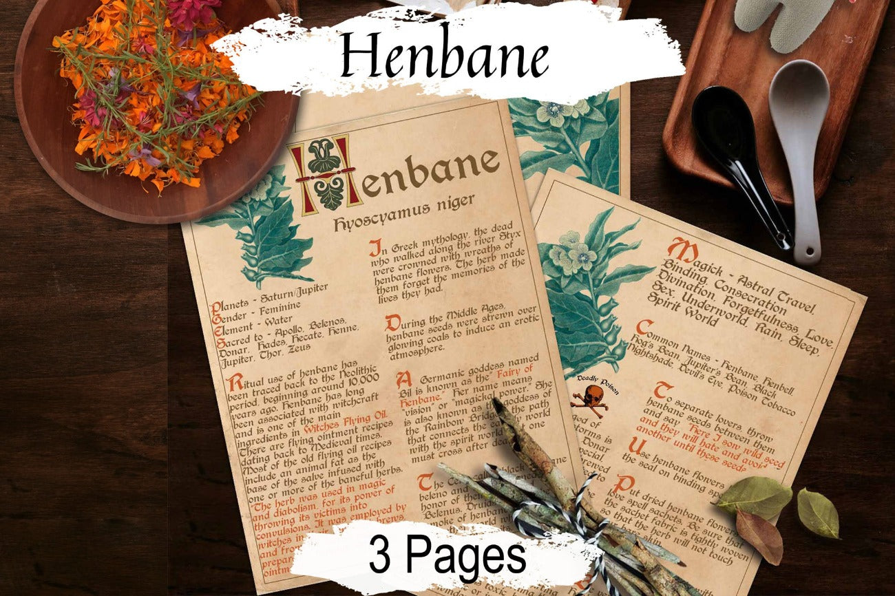 HENBANE BANEFUL HERB 3 pages, Grimoire Printable, Witchcraft Poisonous Plants & Herbs, Wicca Pagan Green Witch, Herbal Apothecary Magic - Morgana Magick Spell