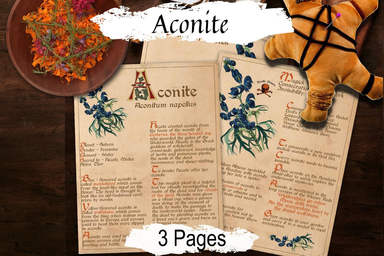 ACONITE BANEFUL HERB 3 Pages, Grimoire Printable, Witchcraft Poisonous Plants & Herbs, Wicca Pagan Green Witch, Herbal Apothecary Magic - Morgana Magick Spell