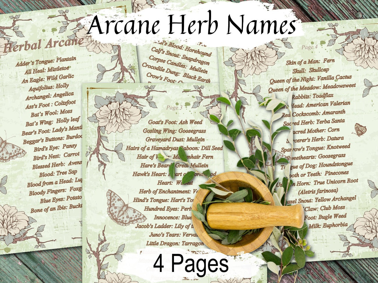 HERBAL ARCANE, Old Witchcraft Names for Common Herbs, Secret Spell Ingredients, Eye of Newt & Wing of Bat, Witch Apothecary Plants, 4 Pages - Morgana Magick Spell