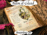 BALM of GILEAD, Printable Recipe and Uses, Balm of Gilead buds, Cottonwood Tree Herbal Remedy and Witch Magic Anointing Oil - Morgana Magick Spell