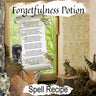 FORGETFULNESS POTION, Spell to Banish Memories, Wicca Witch Potion Recipe Magic, Memory Loss Brew to Forget, Witchcraft Apothecary Elixir - Morgana Magick Spell