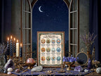 Witch's Zodiac Infographic: Book of Shadows, Astrology Guide, Dark Academia Printable