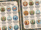 Witch's Zodiac Infographic: Book of Shadows, Astrology Guide, Dark Academia Printable