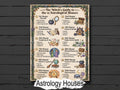 The Witch's Guide to the 12 Astrological Houses - Infographic Grimore Page