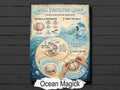Sea Shell Protection Spell: A Simple Beach Magic Ritual, Book of Shadows Page