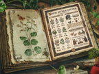 Book of Shadows open to Nigon Wyrth Galdor an ancient parchment page showing how to prepare the medieval nine herbs charm,  with botanical illustrations and text on a wooden surface