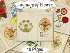 LANGUAGE of FLOWERS, Junk Journal Kit, 10 Printable Pages, Vintage Floral Art, Romantic Floral Messages, Antique Grimoire, Secret Admirer - Morgana Magick Spell