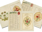 LANGUAGE of FLOWERS, Junk Journal Kit, 10 Printable Pages, Vintage Floral Art, Romantic Floral Messages, Antique Grimoire, Secret Admirer - Morgana Magick Spell