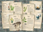 Set of informational parchment pages about  plants for foraging, including knotweed, mullien, nettle and mugwort on a wooden surface