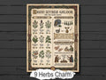 Nine Herbs Charm: Nigon Wertha Galdor, a Medieval Protection Charm, printable page for your Book of Shadows.