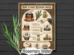 Vintage-style poster on how to make rosemary water with rosemary plant on a wooden background