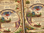 Two closeup images of Rowan Berry Charm pages showin art and text detail. 
