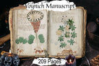 ANCIENT VOYNICH MANUSCRIPT, 15th Century Witchcraft with 209 Pages of Old Handwritten Mysterious Undecipherable text and images.
