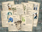 Set of informational parchment pages about  plants for foraging, including chickory, chickweed, birch and acorn on a wooden surface