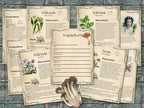 Set of informational parchment pages about  plants for foraging, including wild garlic, wild mint, violet, yarrow and a foraging record page, on a wooden surface
