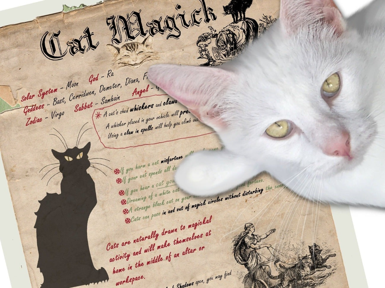 Close-up of CAT MAGICK Printable Book of Shadows Page - Morgana Magick Spell