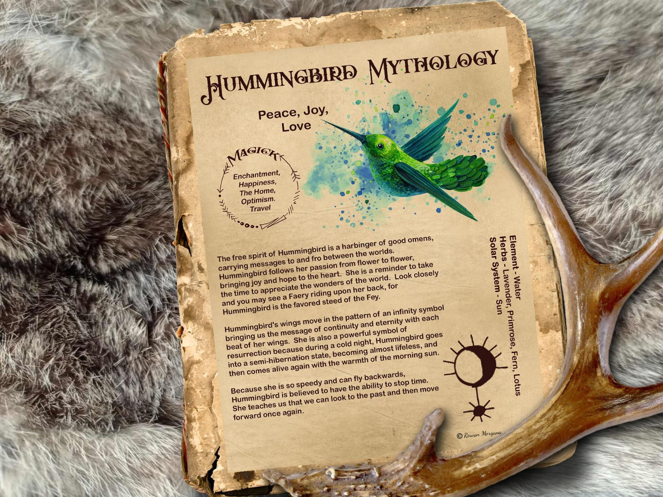 Hummingbird Magick Myths & Correspondences 1 printable Book of Shadows Page is displayed in an ancient book on a fur rug with a deer antler. Shown with the parchment background.