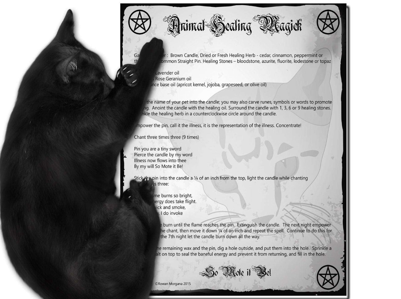 ANIMAL HEALING MAGICK Printable Page - Morgana Magick Spell