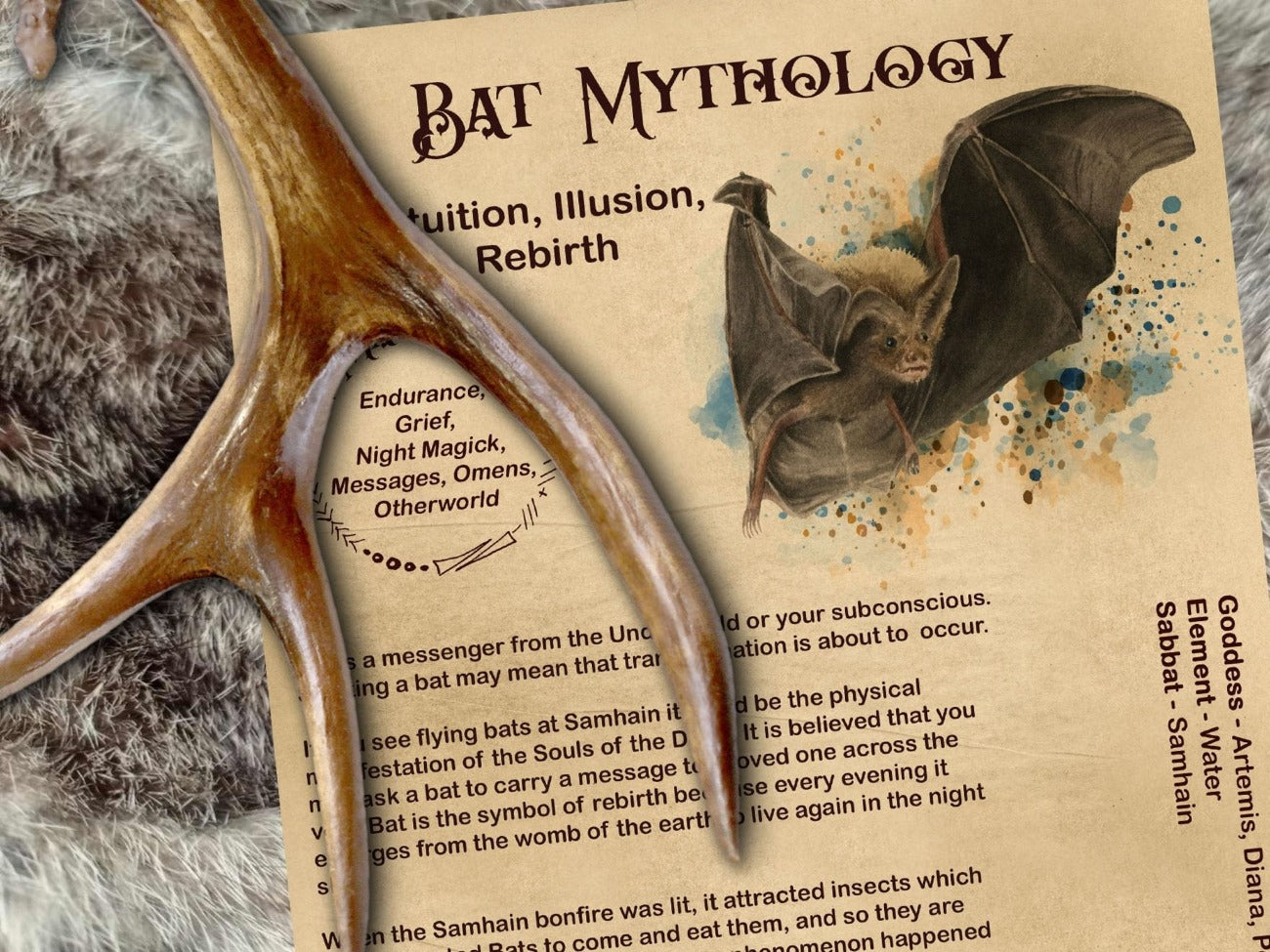 BAT MAGICK, Printable Book of Shadows Page - Morgana Magick Spell