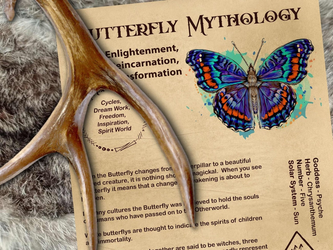 BUTTERFLY MAGICK Printable 1 Page - Morgana Magick Spell