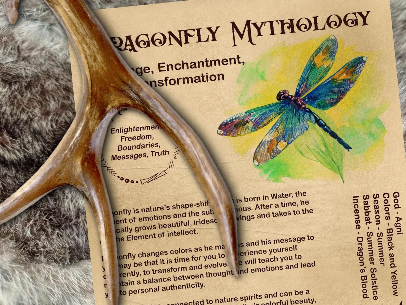 DRAGONFLY MAGICK Printable 1 page - Morgana Magick Spell