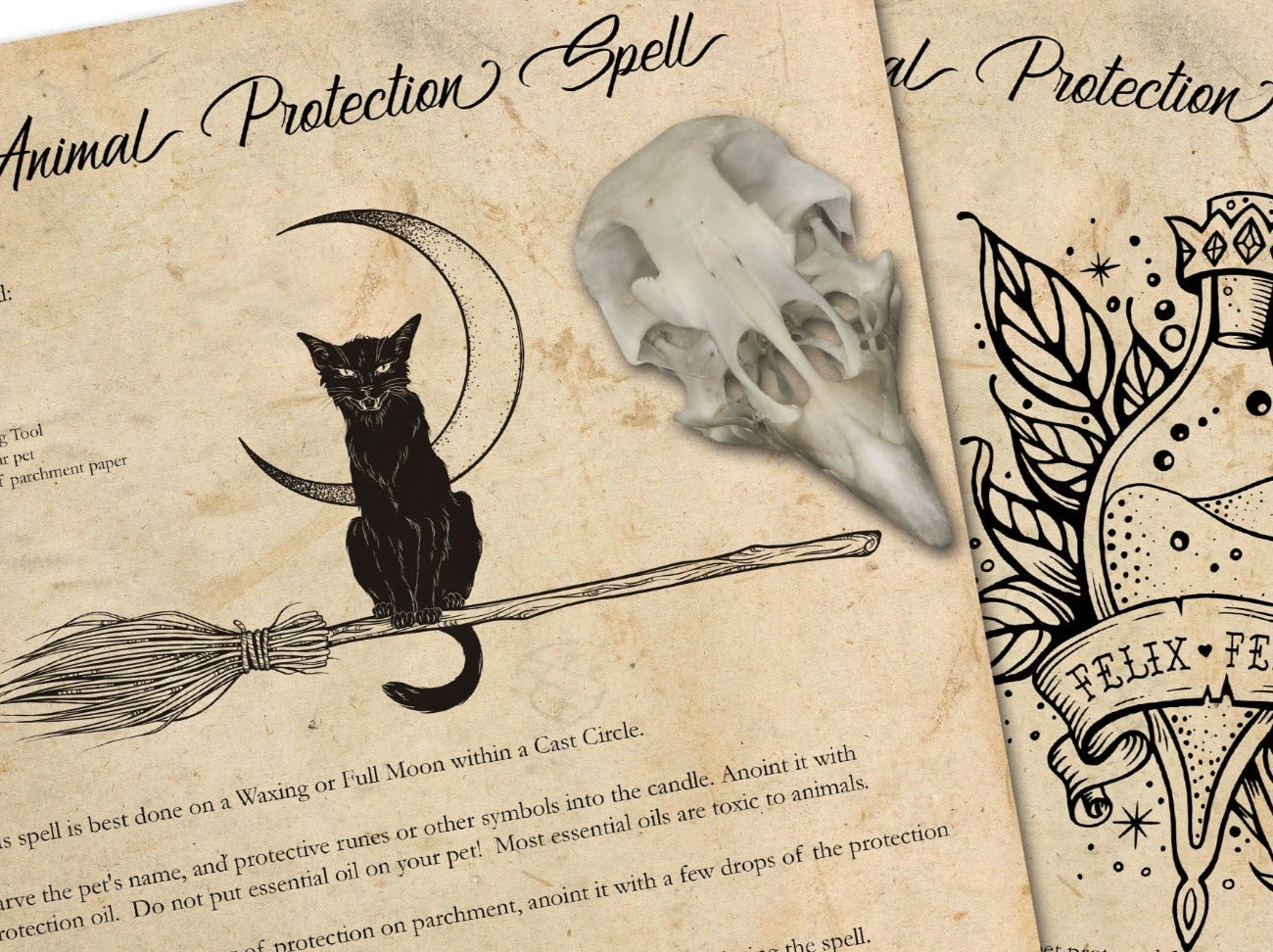 PET PROTECTION SPELL, Protection Magic Spell for Furbabies, Protect a Pet - Morgana Magick Spell