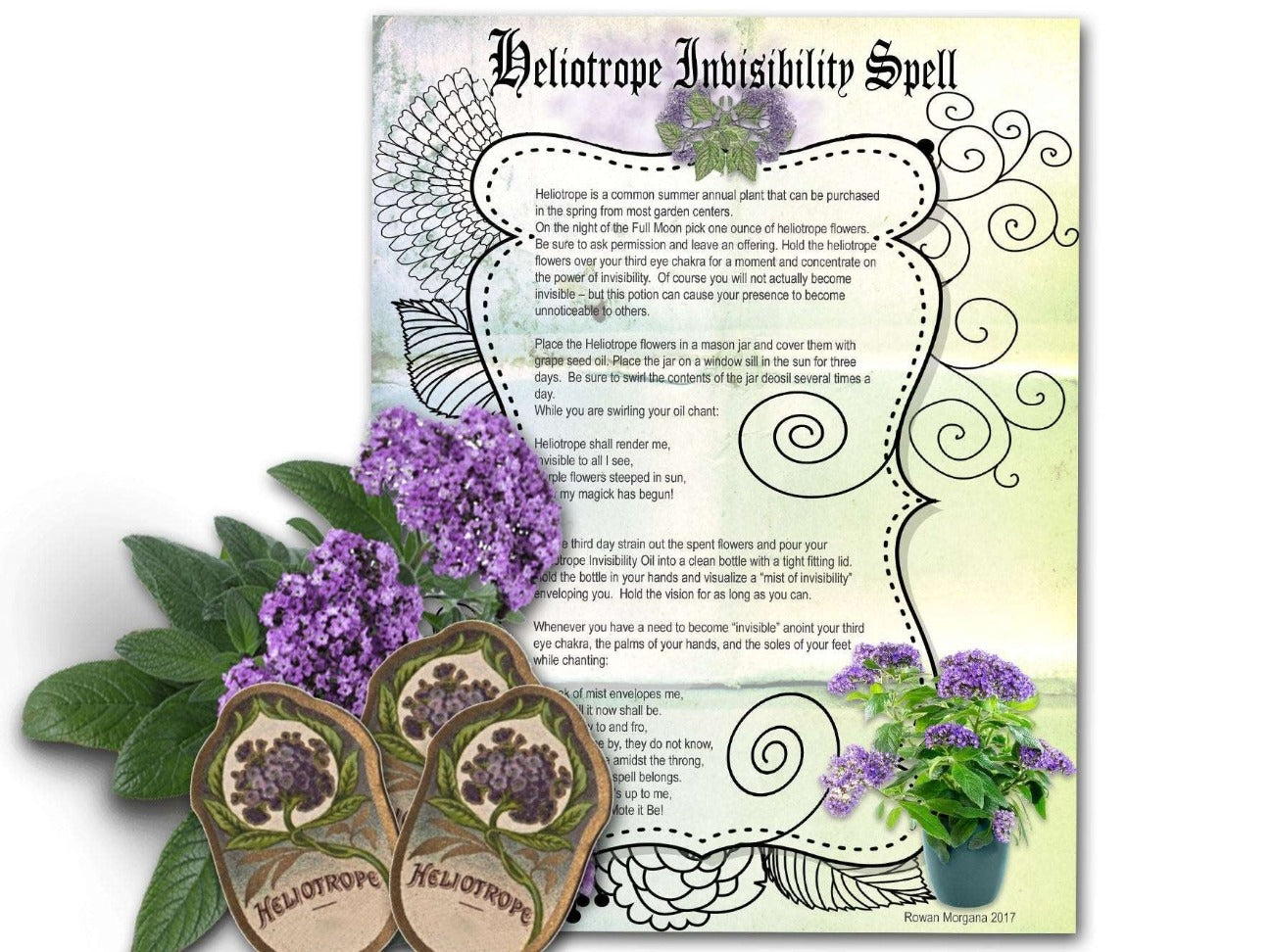HELIOTROPE INVISIBILITY SPELL, Real witch herb grimoire printable page, witch essentials - Morgana Magick Spell